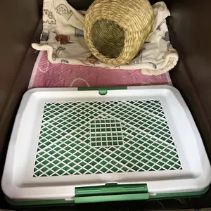 review image 1