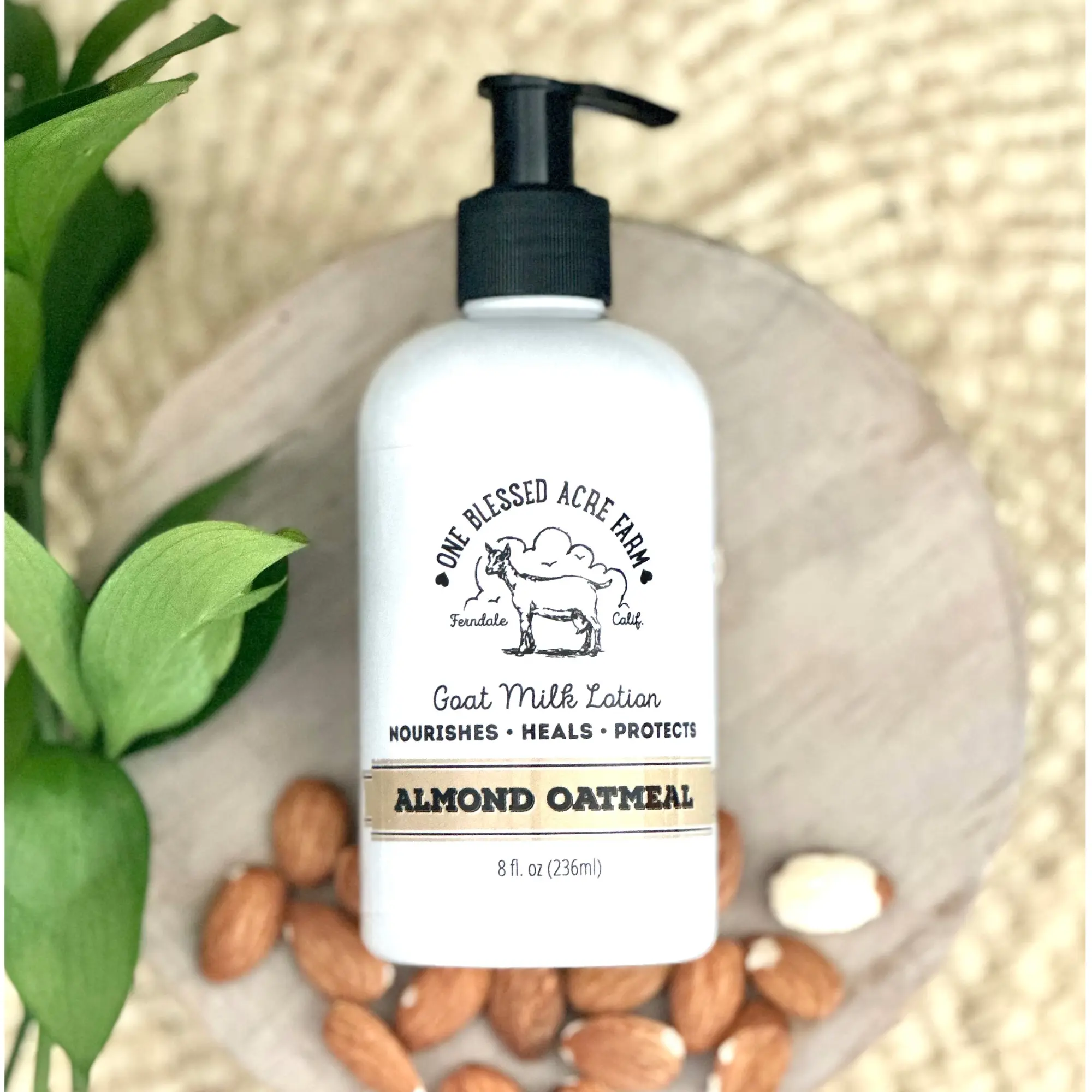 Gentle Almond Oatmeal Goat Milk Hand & Body Lotion - 8 oz Single Item, Unscented, All-Skin Hydrating Moisture Boost, Beauty & Personal Care Body Moisturizer