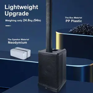 Accuracy Pro Audio E1212 Column Speakers (PBX26)