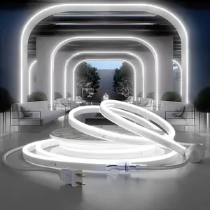 Cool White LED Neon Rope Light Commercial Waterproof LED Strip Lights for Room Building Party