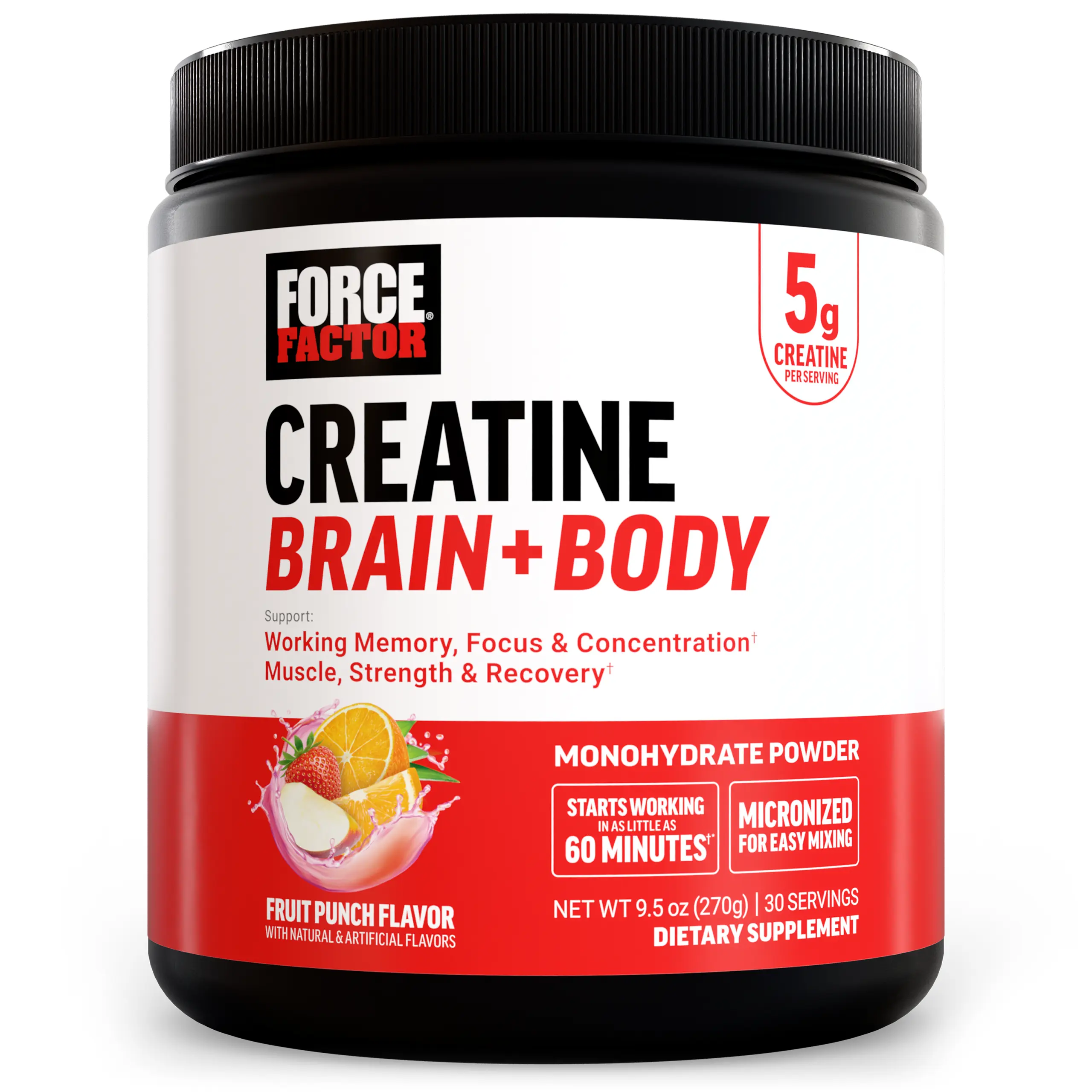 Force Factor Creatine Brain + Body, Micronized Creatine Monohydrate Powder for Muscle, Strength & Brain Performance, with Cognitive Support for Focus & Working Memory, Fruit Punch, 30 Servings