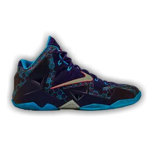Nike LeBron 11 'Hornets' - Used