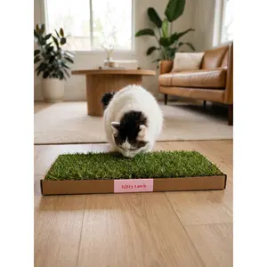 Kitty Lawn