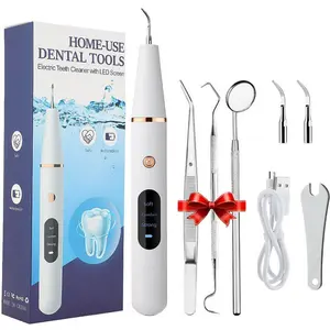 Portable Electric Tooth Cleaner, 1 Box Rechargeable Teeth Polisher with LED Light & Replacement Heads & Others Accessories, Oral Irrigator for Home & Travel