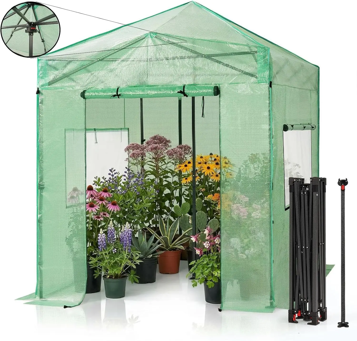 CROWN SHADES 8x6 Walk-in Greenhouse,Pop Up Portable Greenhouse with Center Lock One Push Instant,Outdoor Greenhouse Kit with Roll-Up Door,Mesh Windows&Adjustable Height for Backyard Garden