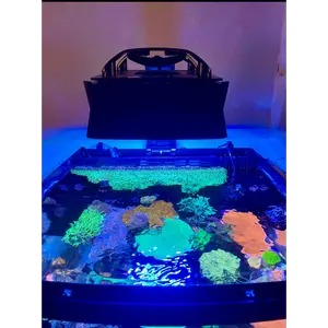 Ecotech XR15 Shade