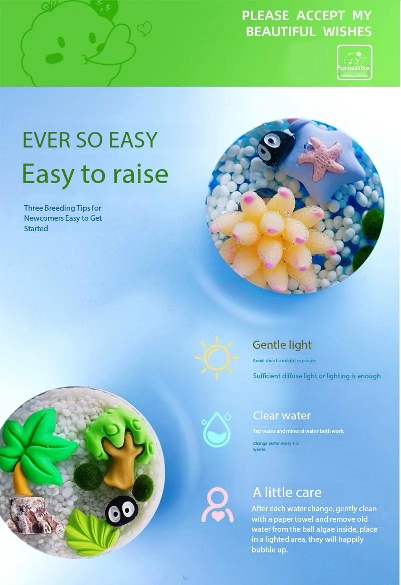Cute Self-Sustaining Marimo Aquascape - Glass Peninsula Terrarium, Low-Maintenance Miniature Ecosystem with Live Moss Ball, Premium DIY Habitat (Includes LIVELY Moss Ball Pet)