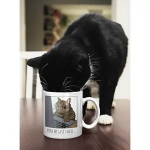 Funny Cat Coffee Mug – Novelty Ceramic Mug