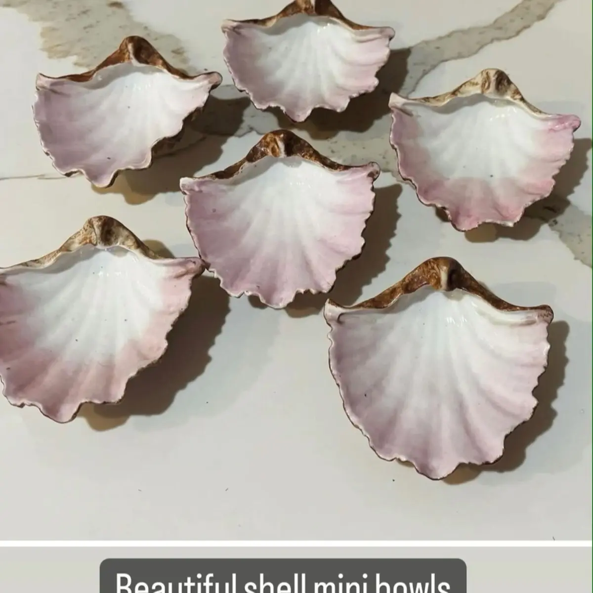 Seashell Mini Bowls - Perfect for Tableware