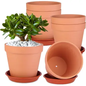 6 Pack 6 Inch Terracotta & Clay Pots with Saucer for Plants Large Terra Cotta Plant Pot with Drainage Hole Flowerpot for Indoor Outdoor Plants Crafts Wedding Favor