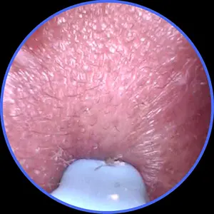 review image 6