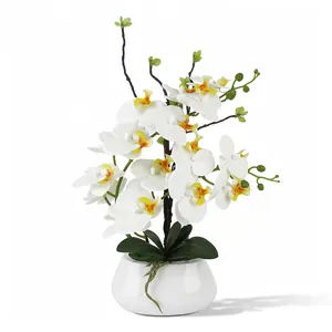 Artificial Phalaenopsis Potted, White Ceramic Oval Planter, Artificial Orchid High-Sim Petals Maintenance-Free, Lifelike Live Orchid, White Orchid Flower, Artif Flowers For Home Office, Porch Decor Gift