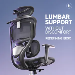 Ergonomic Mesh Office Chair with 4D Armrests, Adjustable Lumbar Support & Footrest - High Back Comfort for Long Hours，Black