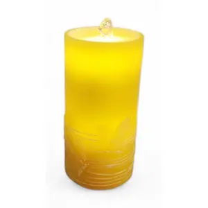 Butterfly Water Candle