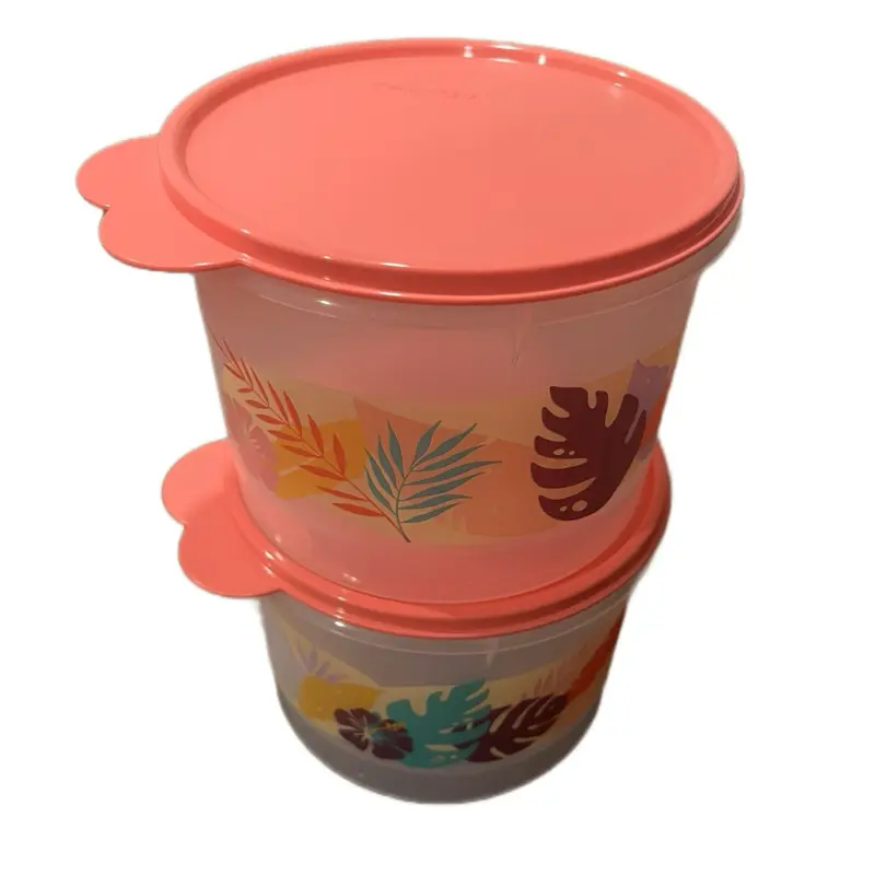 Home & Kitchen 2-Piece Clear Floral Leaves Design Refrigerator Storage Containers Set, Coral Lids Plastic Canister Jars, Kitchenware for Food Storage That Keeps Food Fresh