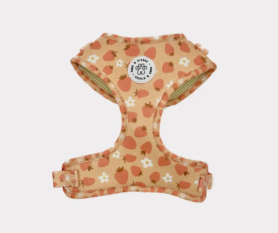 Adjustable Harness - Blossom Berry