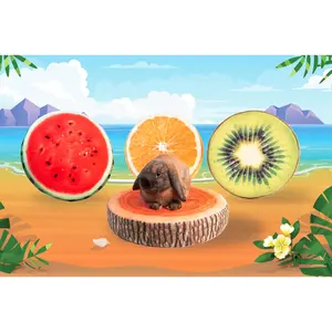 Fruit Cushion for Small Animal - Comfy and Soft Design for Pets