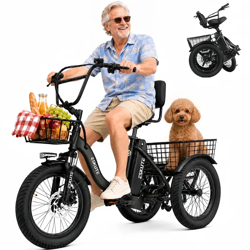 electra trike bicycle TOWNIE GO! S, Aloe Vera / ml The Lectric XP Trike2 is freedom on three wheels XP Trike2 Glacier Blue Electric