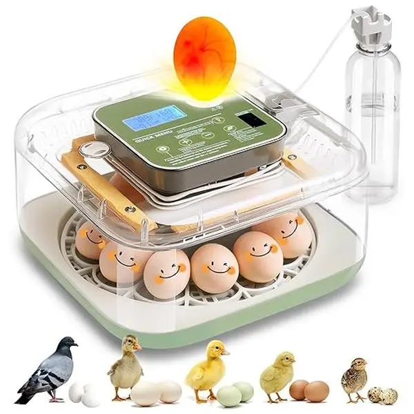 12eggs Automatic Chicken & Quail Egg Incubator, Farm Poultry Supplies with Auto Turner, Digital Incubator campingessentials