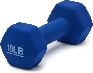 10 Pound Hexagon Workout Dumbbell Hand Weight
