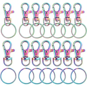 Rainbow Swivel Snap Clasps Set - Metal Swivel Lanyard Snap Hook with Split  Rings Purse Hardware Swivel Lobster Claw for Handbag  DIY (Rainbow)