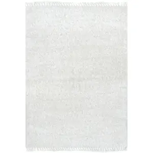 Casual Plush Shag Neva Area Rug