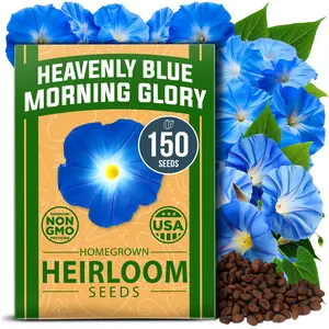Heavenly Blue Morning Glory Seeds - 150 Non-GMO Heirloom Morning Glory Seeds for Planting - Ideal Flower Seeds to Attract Pollinators and Birds (Ipomoea Tricolor) (1pack)