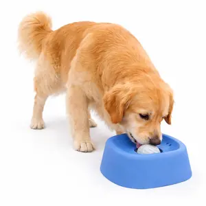 Pet Slow Feeder Bowl for Dogs & Cats Anti-Choking Puzzle Feeding Interactive Lick Bowl Healthy Eating Dish for Small & Medium Pets Smart Feeding pet stuff reverse slow feeder silicone Dual Dog LED Retractable Leash hang on harness rope freedom cat bundle