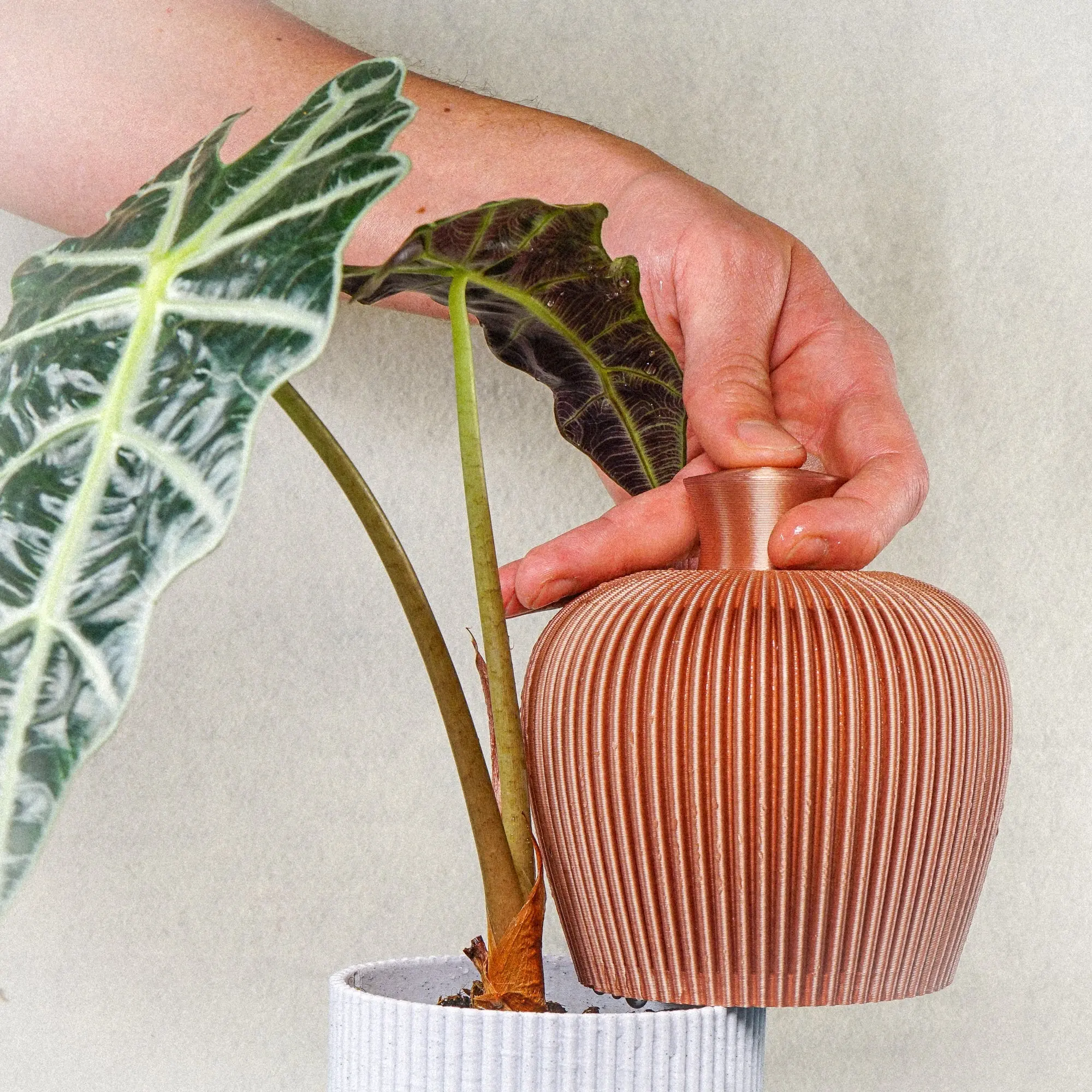 Ribbed Water Bell Thumb Pot for Home and Garden Use