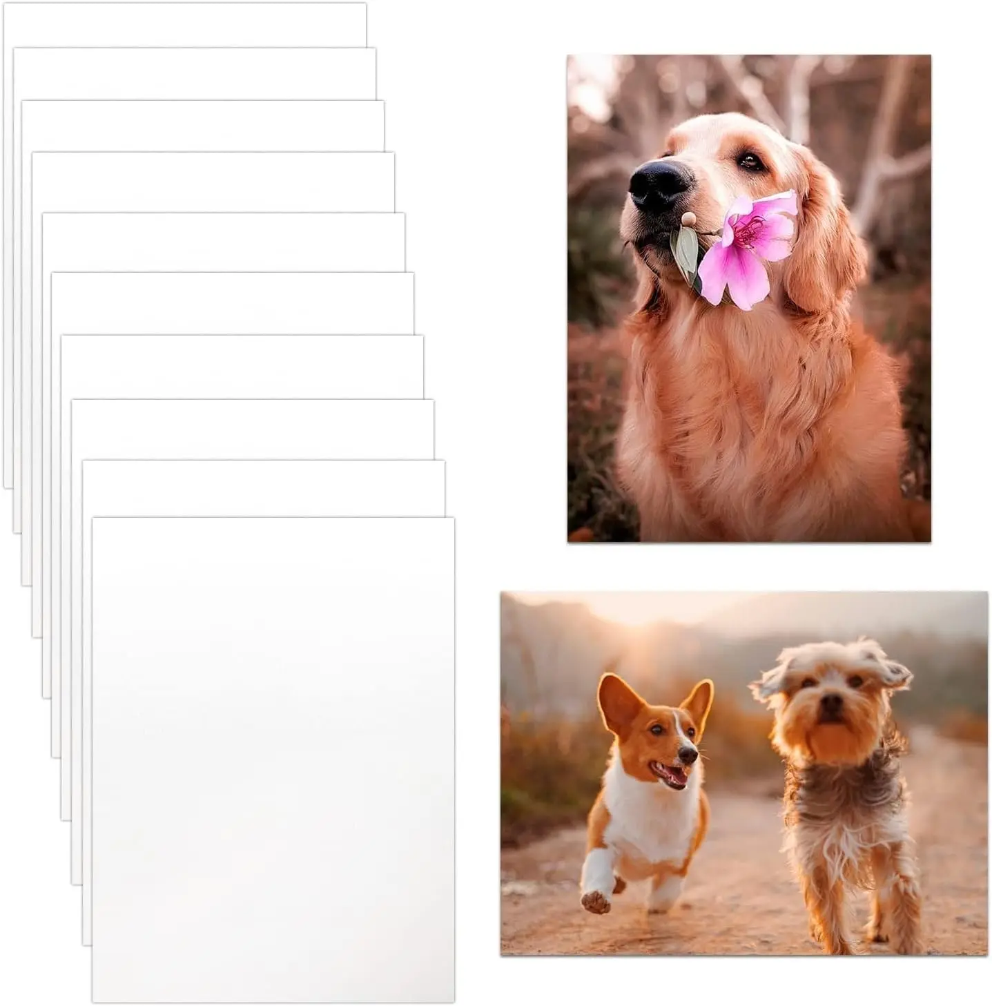 10-Pack Sublimation Metal Blank Frames, 8x10 Aluminum Wall Decor Photo Sign Blanks - 0.45mm Thick, Fade-Resistant Vibrant Printing for DIY Wedding Gifts, Home Decor Supplies