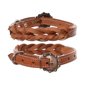 Twist Braid Leather Dog Collar