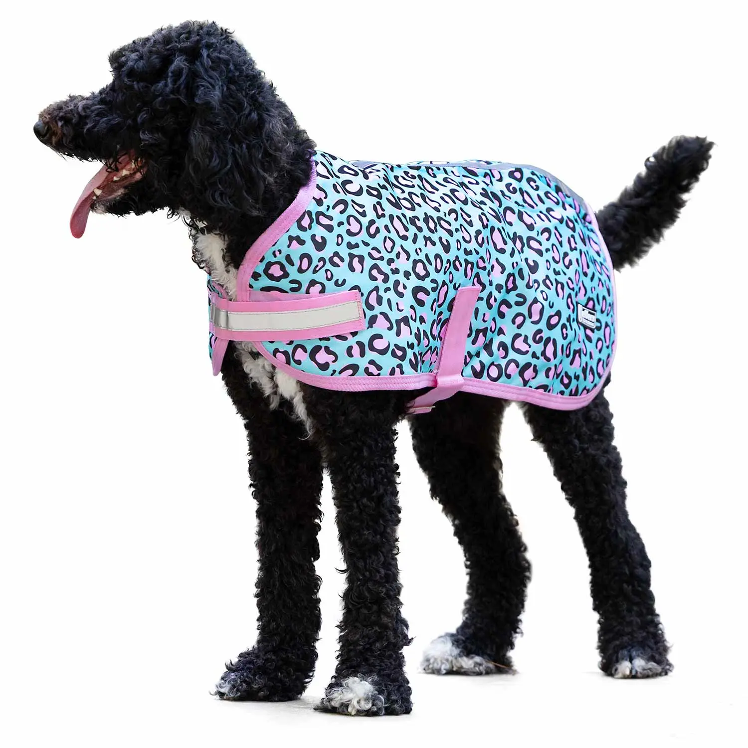 Jeffers Expression 600D Waterproof Ripstop Dog Coat, 240 Gram Jeffers Expression 600D Waterproof Ripstop Dog Coat, 240 Gram