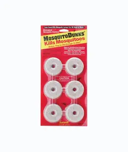 "Family-Friendly Mosquito Tip for a Chill, Bite-Free Summer!"
