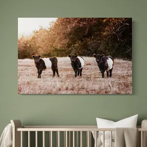 Darrell Charming Belted Galloway Wall Art, Unframed Nursery Poster - High-Quality Decorative Cow Picture For Kids Room