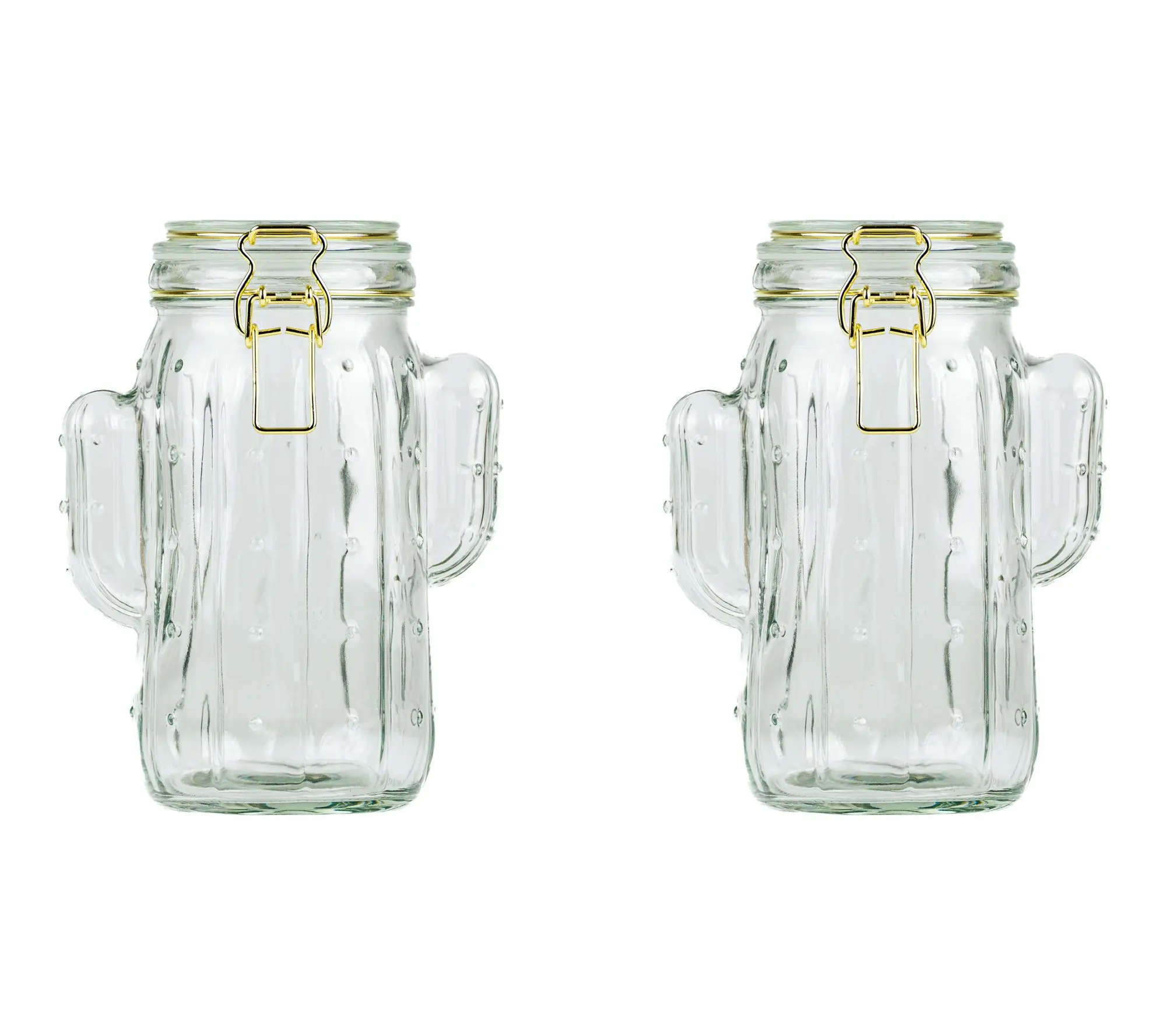 10 Strawberry Street Set of 2 Saguaro Hermetic Jars, Medium