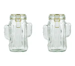 10 Strawberry Street Set of 2 Saguaro Hermetic Jars, Medium