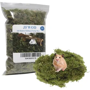 5L Forest Moss Hamster and Syrian Gerbils Bedding for Potted Plants Terrariums Reptile Tanks and Live Creature Projects