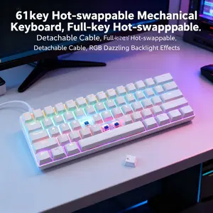 61key Type-C Wired Computer Game Keyboard | Hot swapable Mechanical Keyboard with Cool RGB Lighting Effect for Game and E-Sports Office