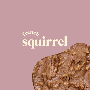 French Squirrel