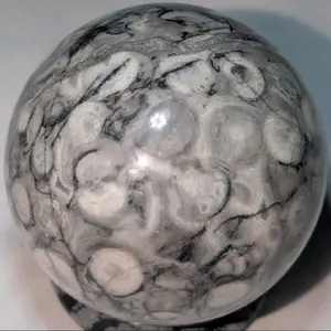 Shell Jasper Sphere