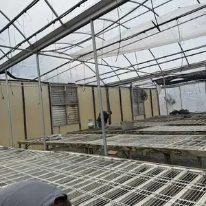 ARTFLAMM Springtok Propane Torch Weed Burner Kit with Storage Bag, Weed Torch with 10 FT Hose, Self Igniter Weed Flame Torch for Fire Pit, Roofing