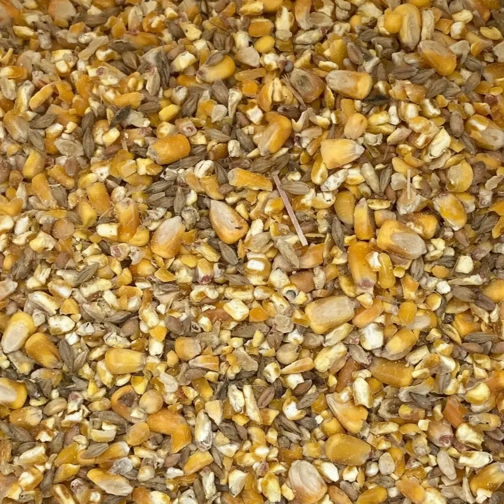 20lb Chicken Scratch Grains Made in The USA Rooster, Hen's,Game Birds, Duck Feed