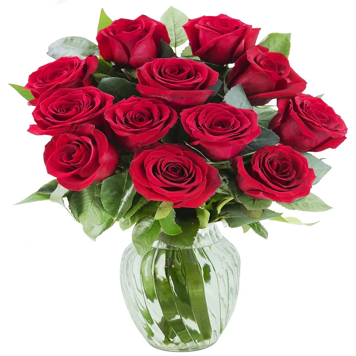 KaBloom Spring Easter Collection - Bouquet of 12 Fresh Red Roses with Vase | Gift for Birthday, Anniversary, Get Well, Thank You, Easter, Decoration, Mother’s Day Fresh Flowers