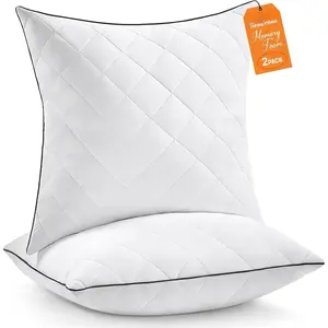 Throw Pillows (Pack of 2, White), 20 x 20 Inches Decorative Pillow Insert for Couch, Sofa and Bed, Memory  Indoor Square Pillow Forms Stuffer