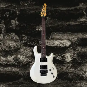 Aslin Dane Kahn FR Vintage white Pearl high gloss with Floyed Rose tremolo systerm and Lundgren pickup