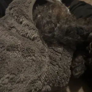 Warm Fleece Pet Vest Jacket with Leash Ring, Sleeveless Anti-Shedding Coat for Small, Medium Dogs, Poodle and Cats, Fall and Winter