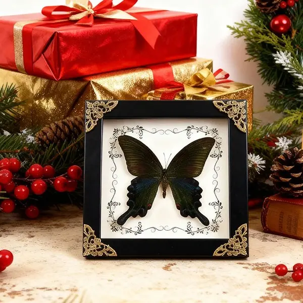 Vintage Butterfly Shadow Box, Framed Taxidermy Butterfly Wall Art - Natural Wood Frame & Elegant Gift Packaging Christmas decorations Wooden, Whimsical Room Decor, Artwork Shadow Boxes
