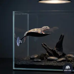 1pc Strengthened Suction Cup Climbing Pet Aquascape Leaf, Betta Fish Bed Leaf, Lizard Rest Platform, Chameleon Spider Hideaway, Aquarium, Fish Tank Decorations, Aquarium Decor