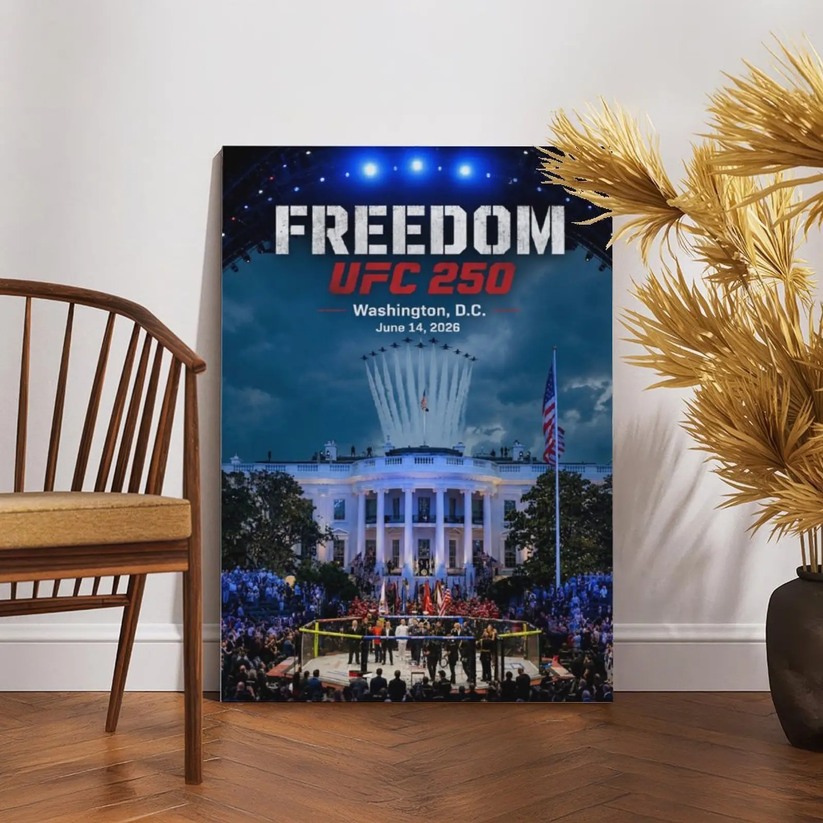 UFC 250 Epic Historic Moment Octagon In Front Of The White House Flyover Tribute Collectible Poster For Fight Fans