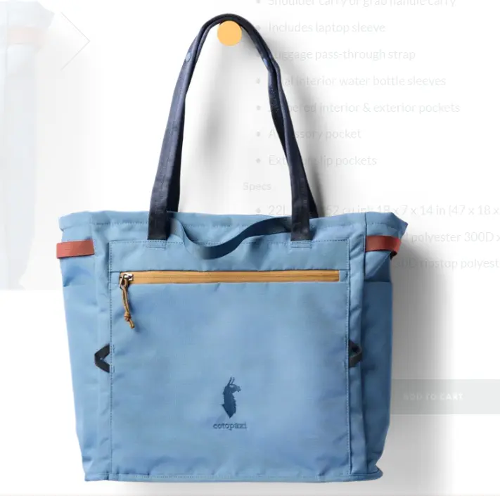 Cotopaxi - Mente 22L Tote - Fjord